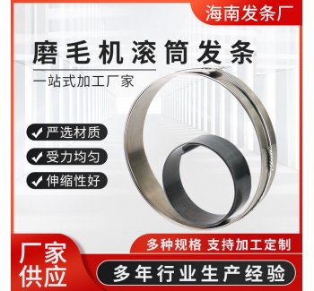 廠家供應磨毛機滾筒發(fā)條 貨架升降恒力平面渦卷收線發(fā)條彈簧